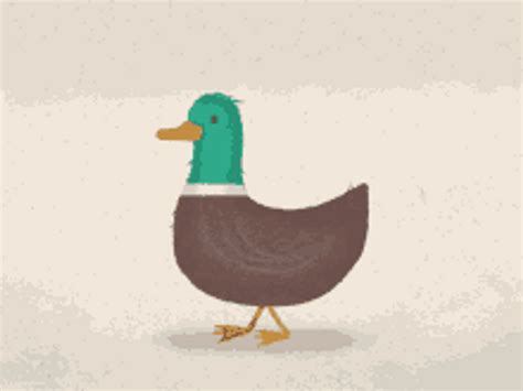 twitter duck gif